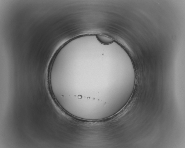 X0000111941087200907271009