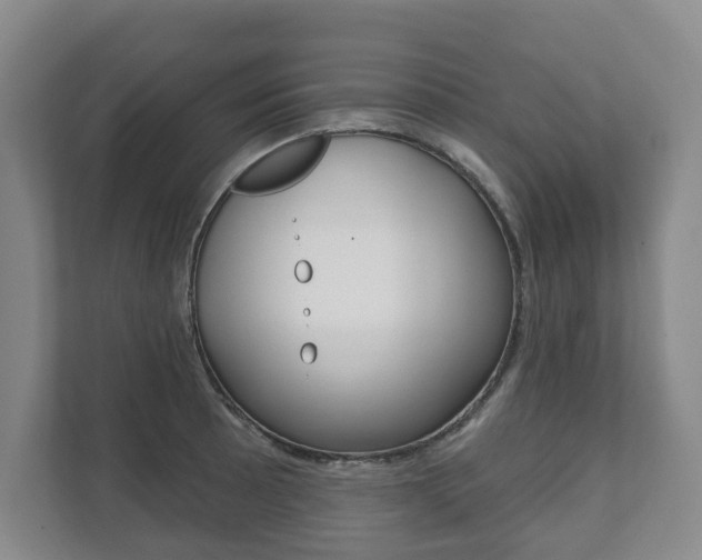 X0000111941089200907271009