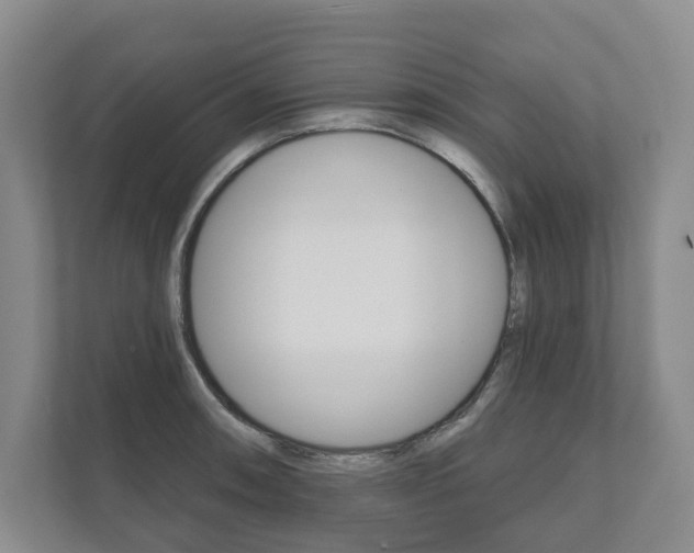 X0000111941090200907271009