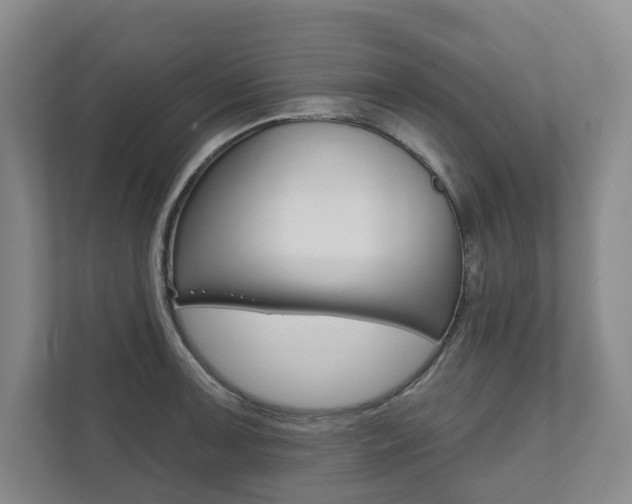 X0000111941091200907271009