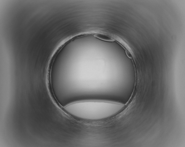 X0000111941093200907271009