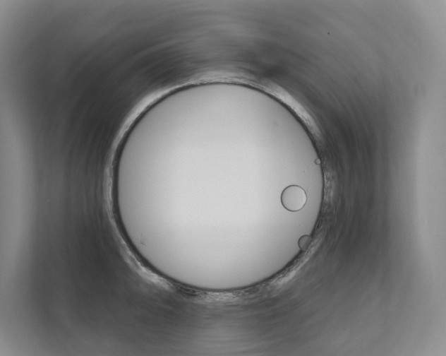 X0000111941094200907271009