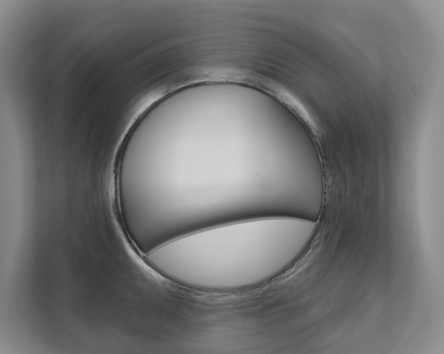X0000111941095200907271009