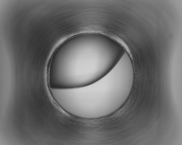 X0000111941096200907271009