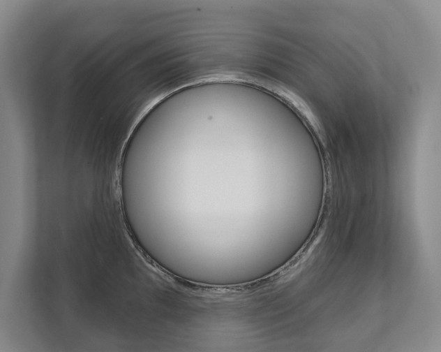 X0000111941097200907271009