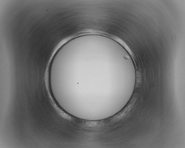X0000111941098200907271009