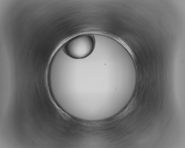 X0000111941101200907271009