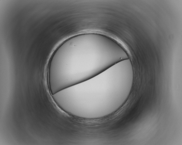 X0000111941102200907271009
