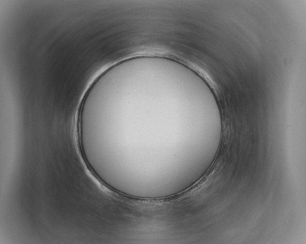 X0000111941103200907271009