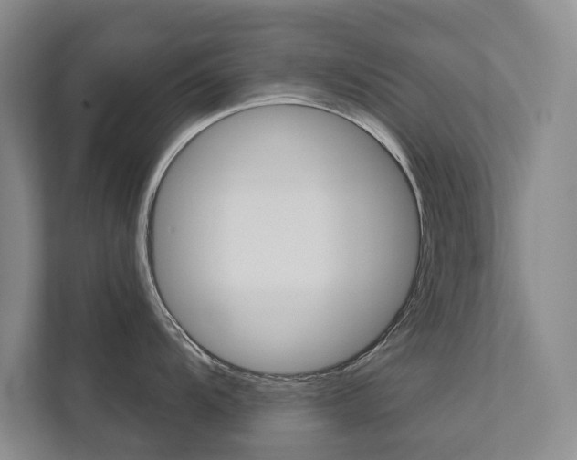 X0000111941104200907271009
