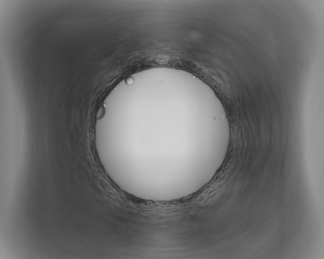 X0000111941105200907271008