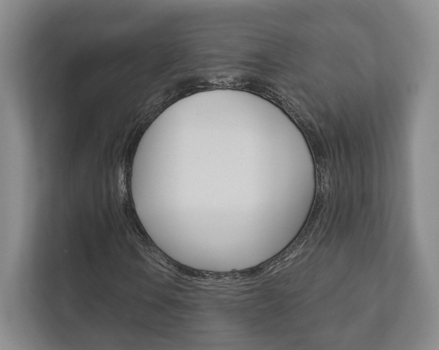 X0000111941106200907271008