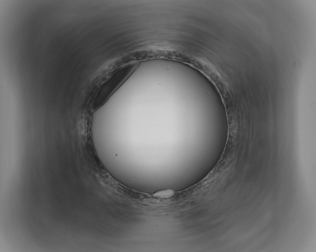X0000111941110200907271008