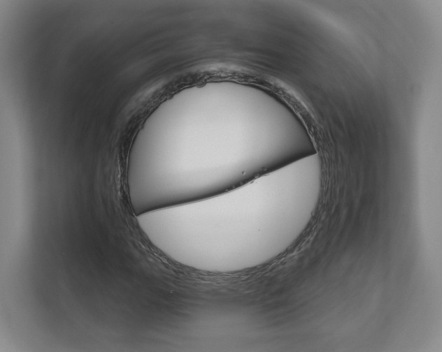 X0000111941111200907271008