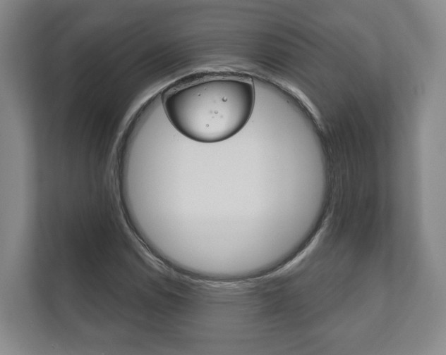X0000111941114200907271008