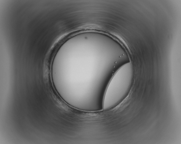 X0000111941115200907271008