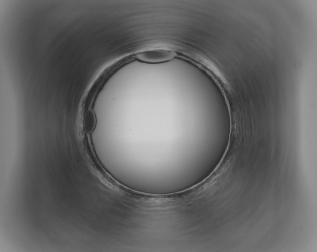 X0000111941116200907271008