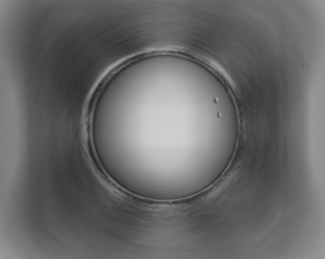 X0000111941124200907271009