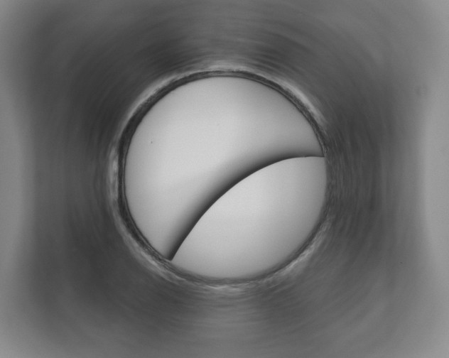 X0000111941126200907271009