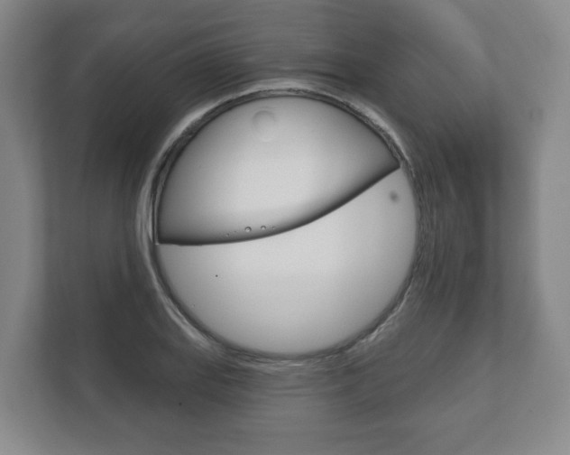 X0000111941127200907271009