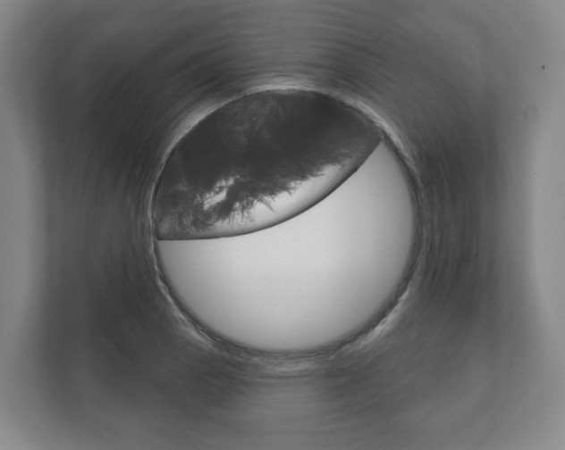 X0000111941129200907271009