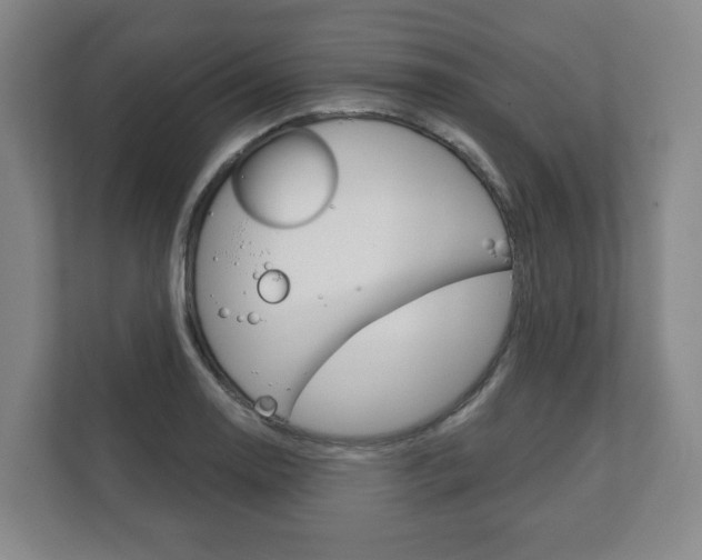 X0000111941130200907271009