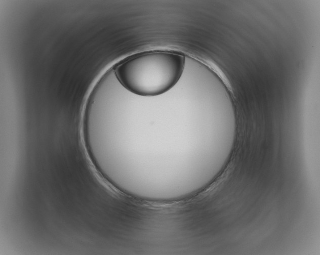 X0000111941132200907271009