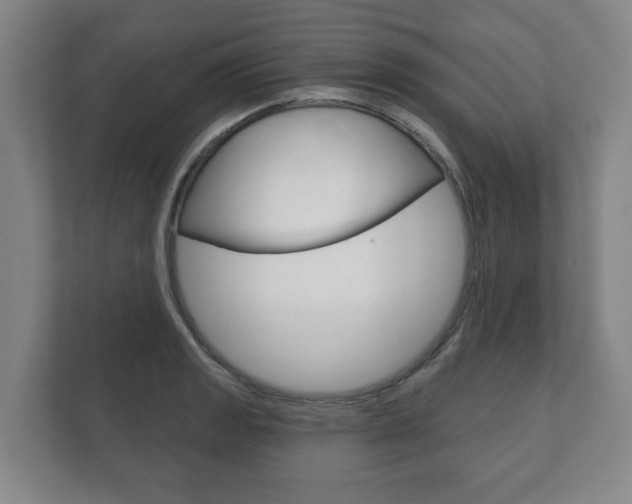 X0000111941133200907271009