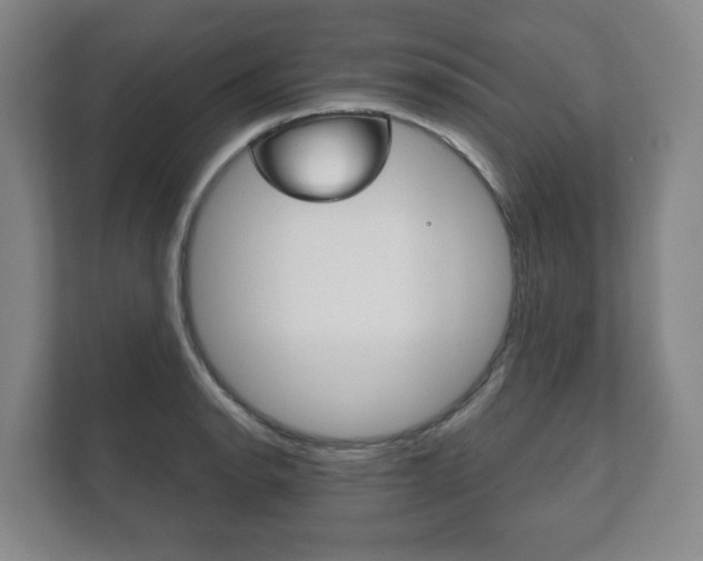 X0000111941134200907271009