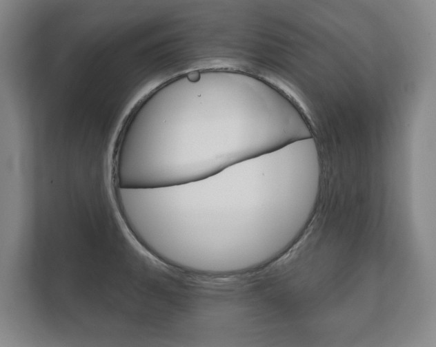 X0000111941135200907271009