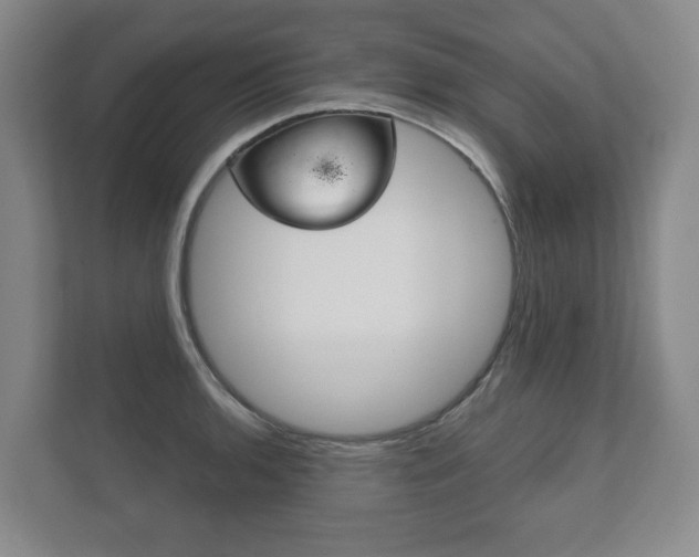 X0000111941136200907271009