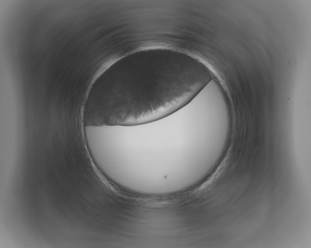 X0000111941137200907271009