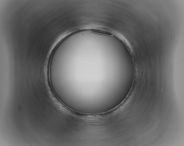 X0000111941138200907271009