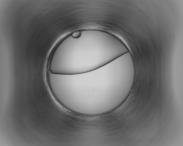 X0000111941139200907271009