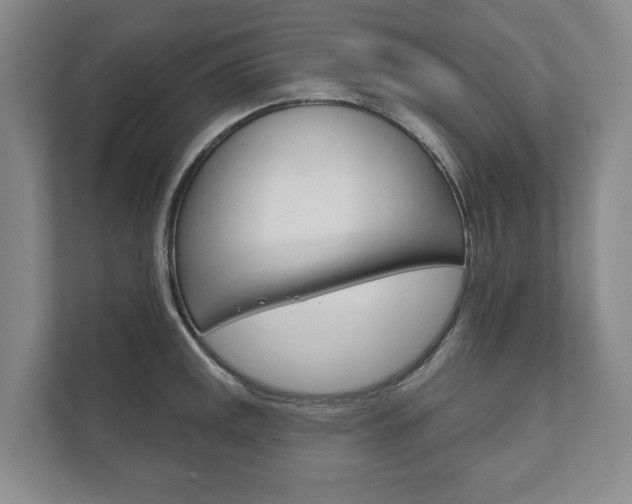 X0000111941141200907271009