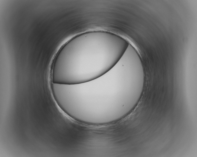 X0000111941143200907271009