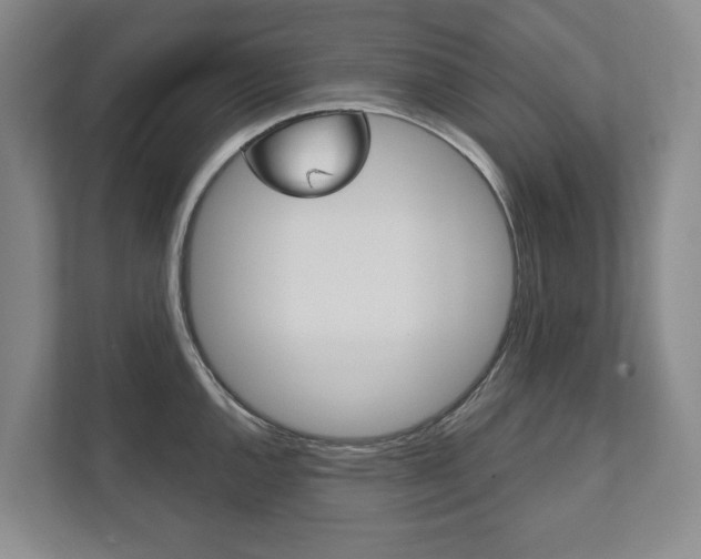 X0000111941144200907271009