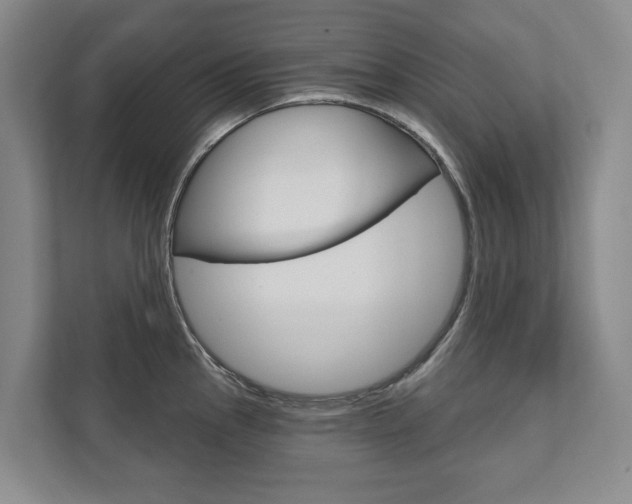 X0000111941145200907271009