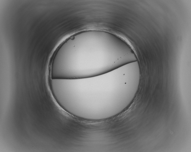 X0000111941147200907271009