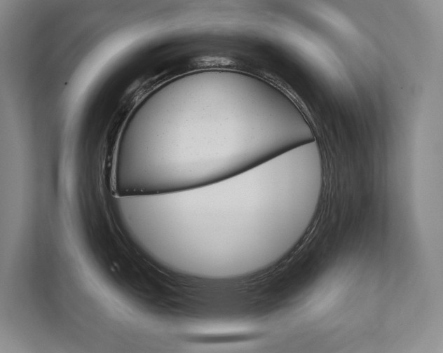 X0000111941151200907271009