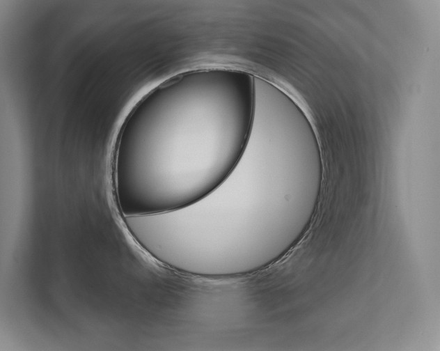 X0000111941152200907271009