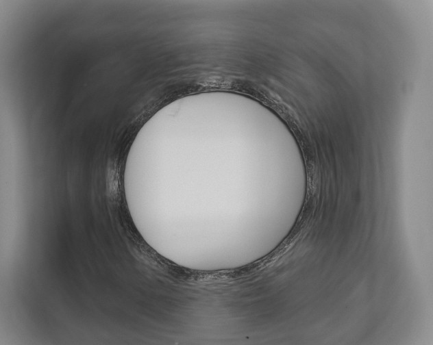 X0000111941154200907271008