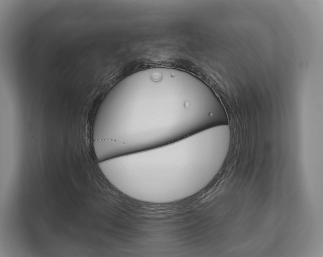 X0000111941156200907271008