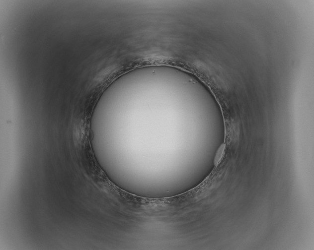 X0000111941157200907271008