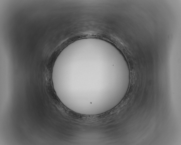 X0000111941158200907271008