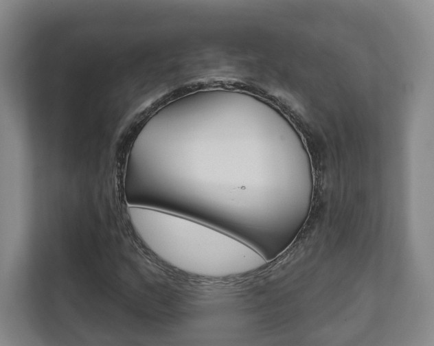 X0000111941159200907271008