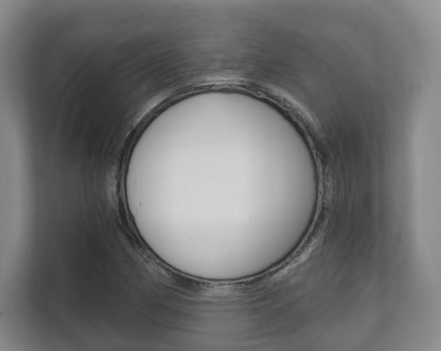X0000111941162200907271008