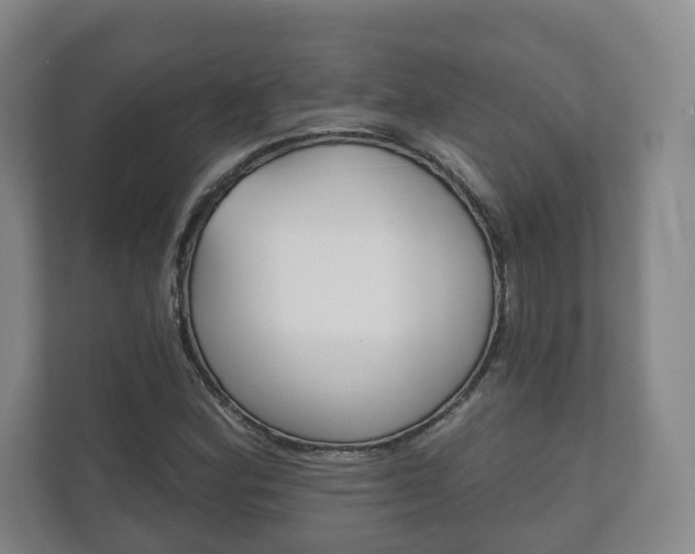 X0000111941164200907271008