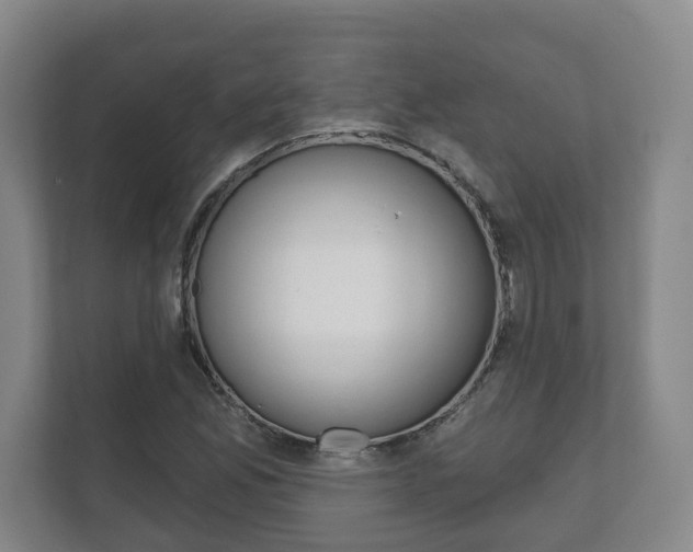 X0000111941165200907271008