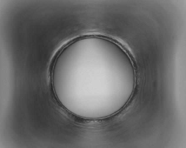 X0000111941167200907271008